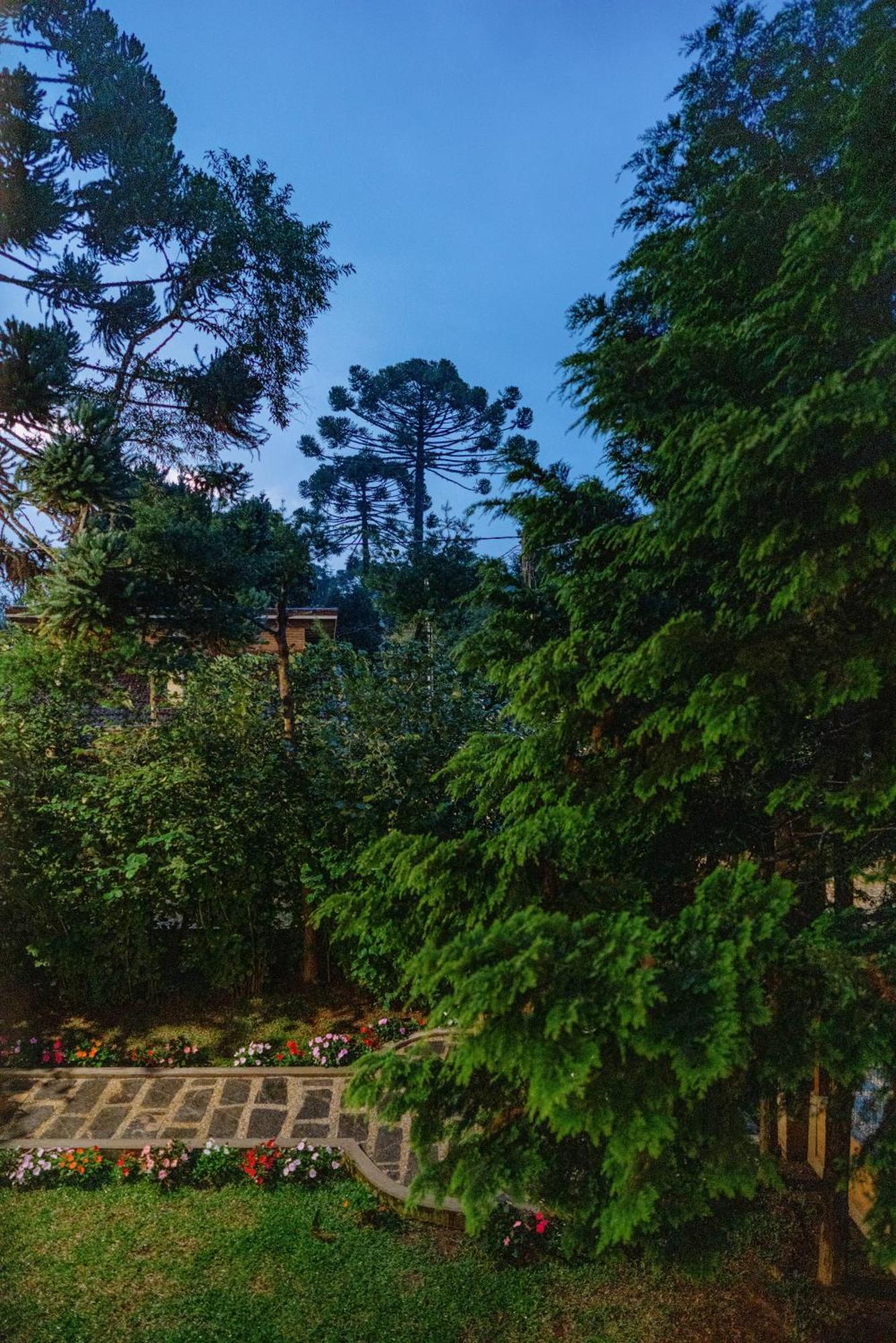 Villetta Lucca Monte Verde  Ngoại thất bức ảnh